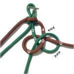 Loop B