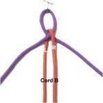 Cord B