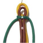 Cord B