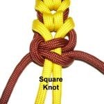 Square Knot