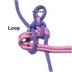 Loop