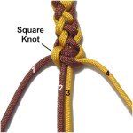 Square Knot