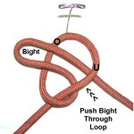 Bight